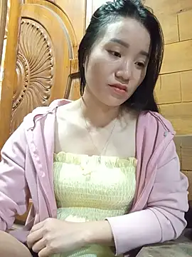 Td3di webcam