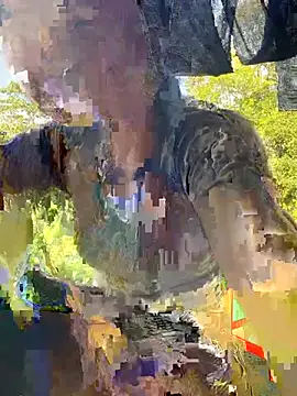 myvy001 webcam
