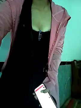 Sully3311 webcam