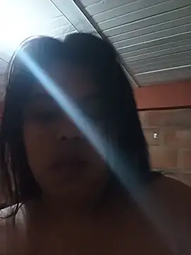 Valenwe webcam