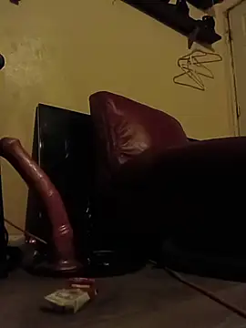 Cnutt310 webcam