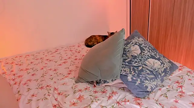 Fluffygarden webcam