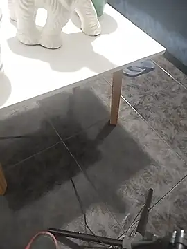 Sonnis webcam