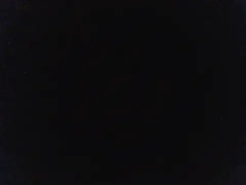 BustyBunnyX webcam