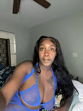 ToyaThick webcam