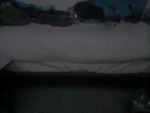 spartan24cm webcam