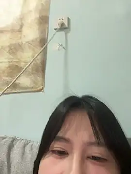 AAin-00 webcam