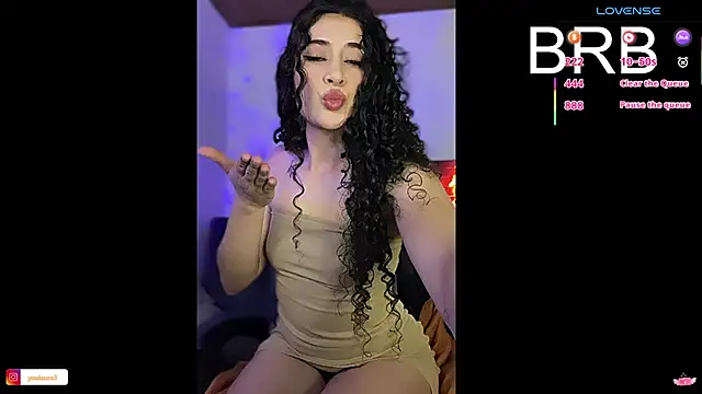 Youlau webcam