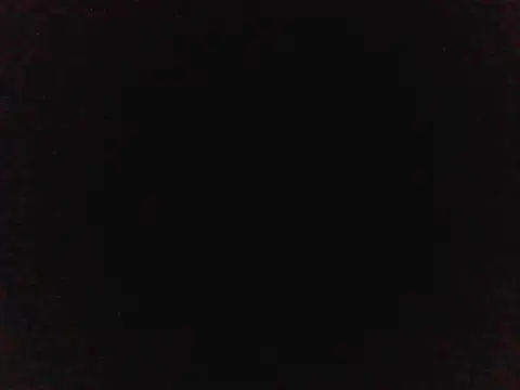 BustyBunnyX webcam