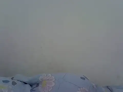 coco_eater webcam