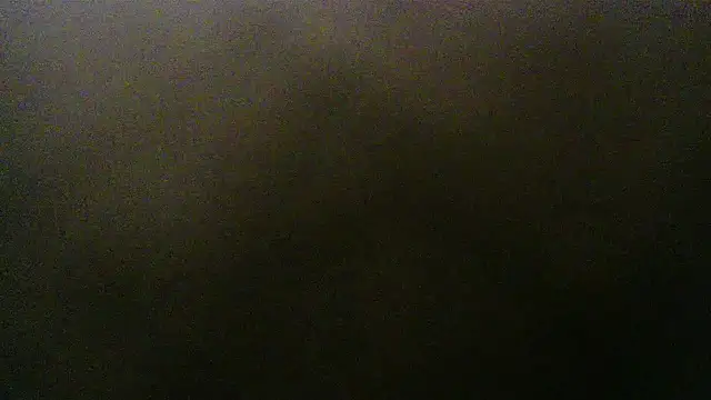 SadCatDaddy webcam