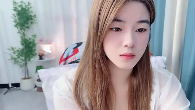Nicoa2026 webcam