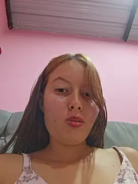 Khelmi webcam