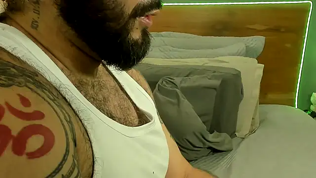 Prometeo-grizzly webcam