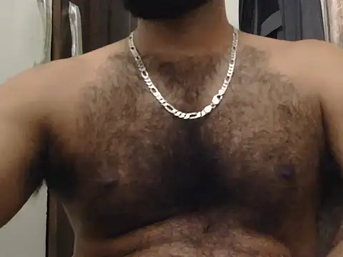 indianhairybull webcam