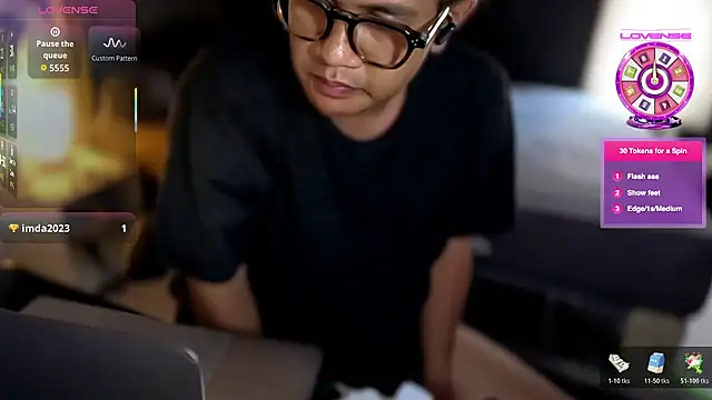 wildylive webcam