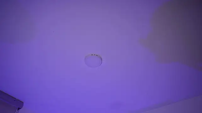 appolo_allen webcam