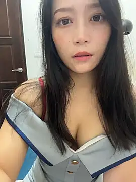 wt0314 webcam
