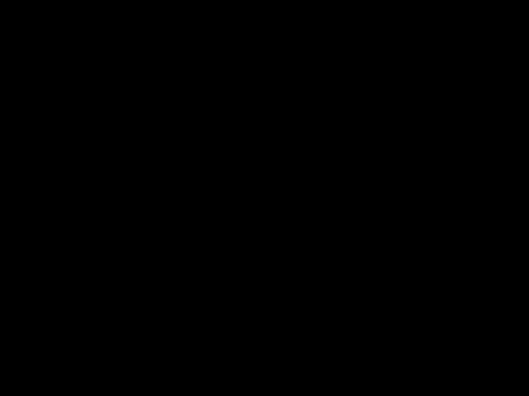 adamdamn webcam