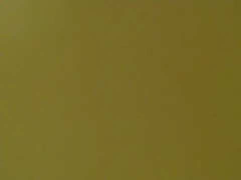 LadyKim101 live cam on StripChat