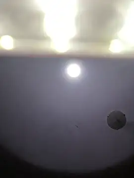 Casaldriks webcam