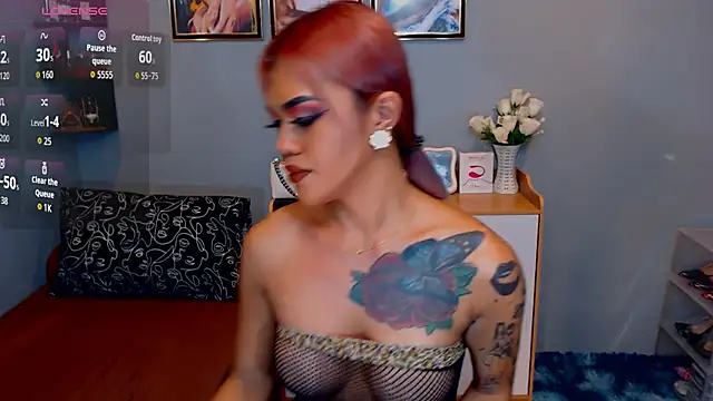 StellaStrong30 webcam