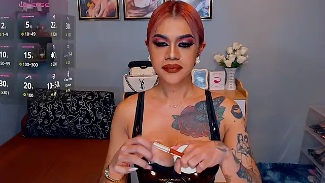 StellaStrong30 webcam