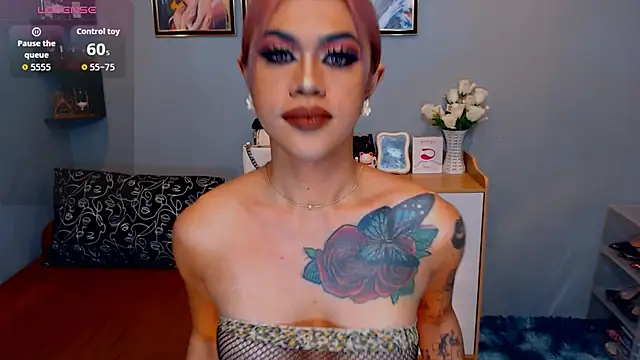 StellaStrong30 webcam