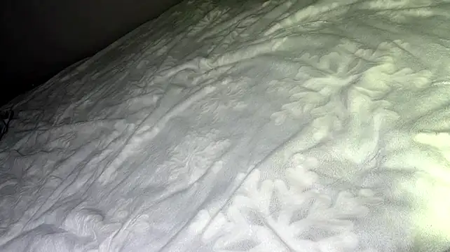 OdetteTrentinella