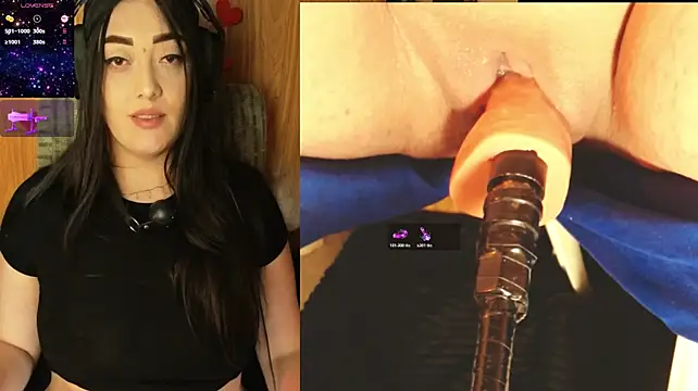 aleja20_- webcam