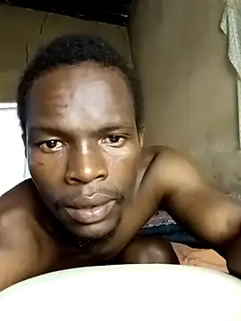 1CowT webcam