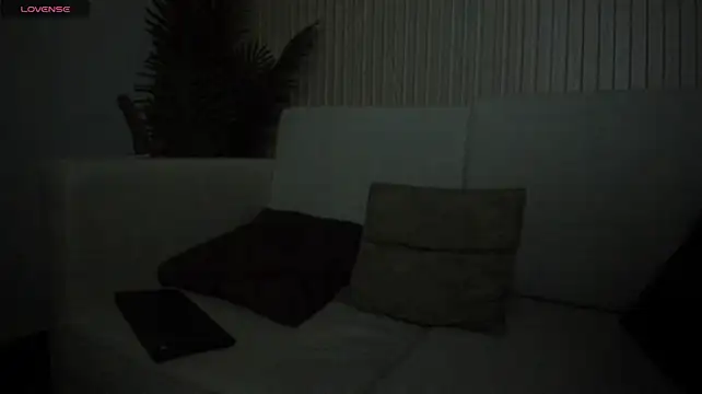 Bruno_fox webcam