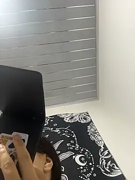 jouse_hoffman_ webcam