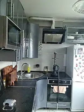 LazyTanukii webcam
