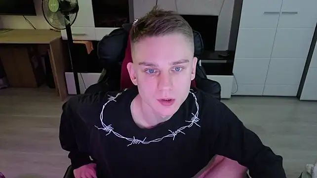 pvlpstvy webcam