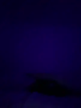 GusanoDelicioso webcam