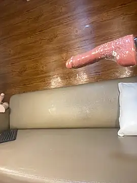 PinkyMoon webcam