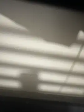 Teelove4870 live cam preview