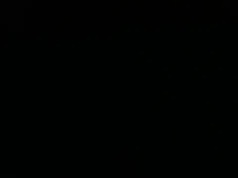 bbvic webcam