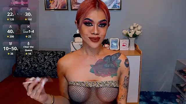 StellaStrong30 webcam
