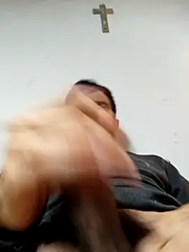 Eduardovergota webcam