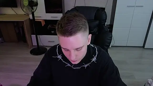 pvlpstvy webcam