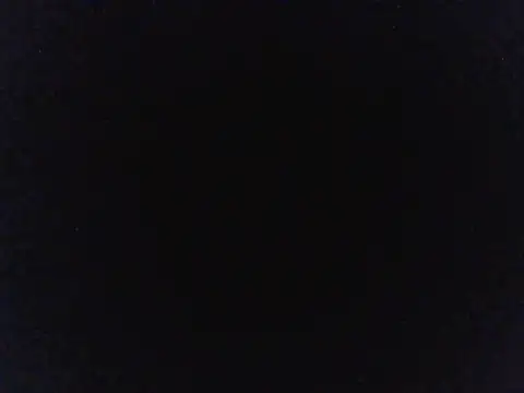 BustyBunnyX webcam