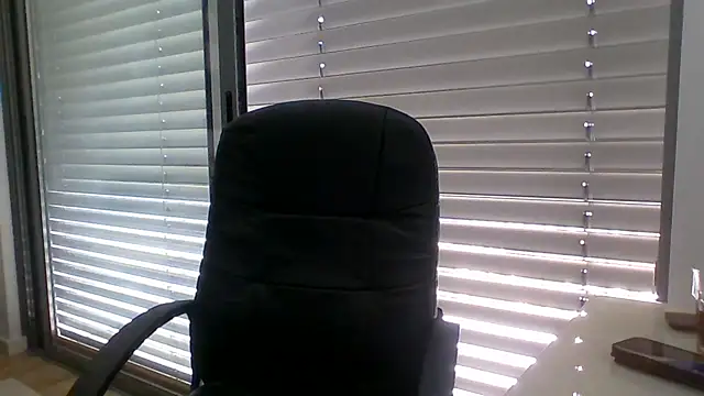 66MA69 webcam