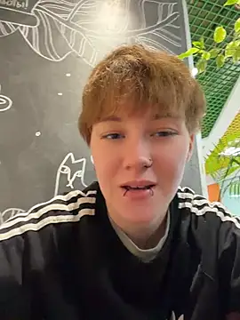 IceMur webcam