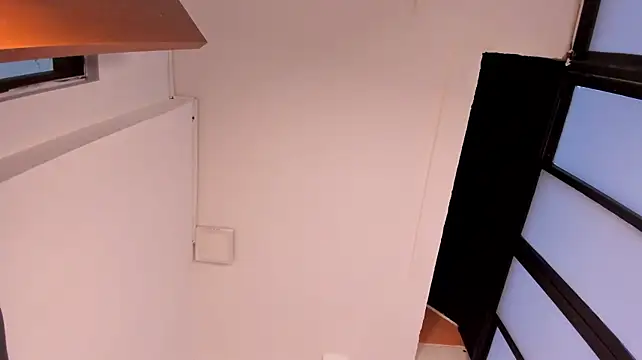 sherkanLafleur webcam