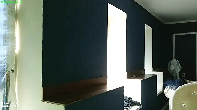 Pippa_Pebble webcam