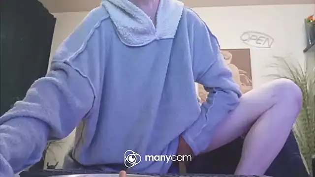 der_dino30 webcam
