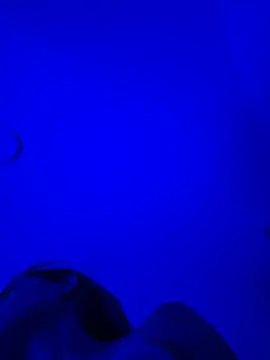 Azure_Reign live cam on StripChat