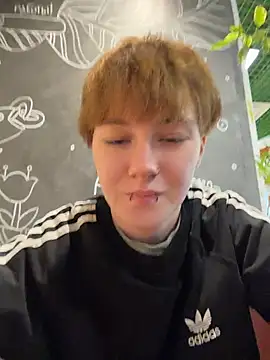 IceMur webcam